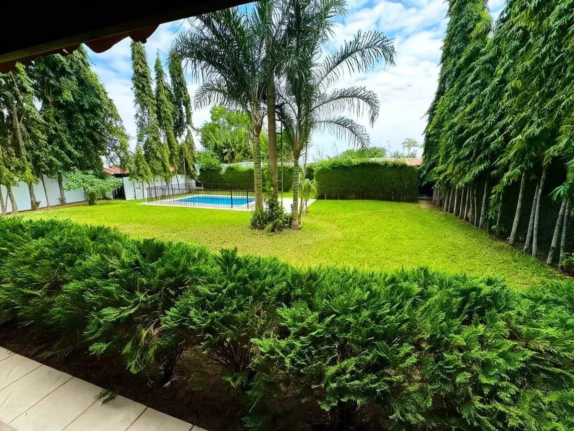 Jardin et piscine d’une villa.